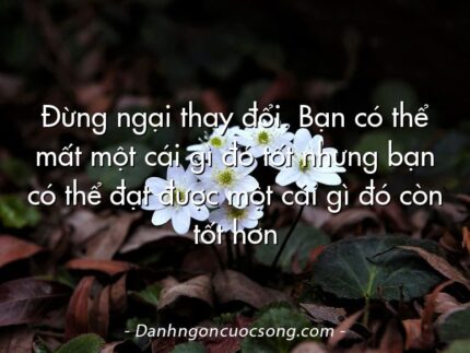 Đừng ngại thay đổi. Bạn có thể mất một cái gì đó tốt nhưng bạn có thể đạt được một cái gì đó còn tốt hơn