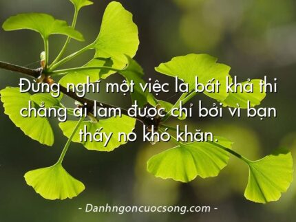 Đừng nghĩ một việc là bất khả thi chẳng ai làm được chỉ bởi vì bạn thấy nó khó khăn.