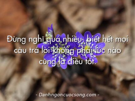 Đừng nghĩ quá nhiều, biết hết mọi câu trả lời không phải lúc nào cũng là điều tốt.