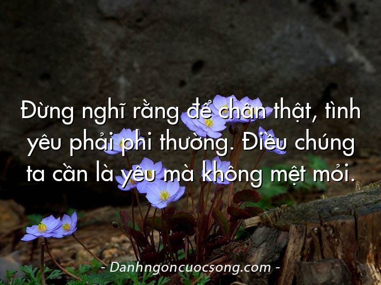 Đừng nghĩ rằng để chân thật, tình yêu phải phi thường. Điều chúng ta cần là yêu mà không mệt mỏi.