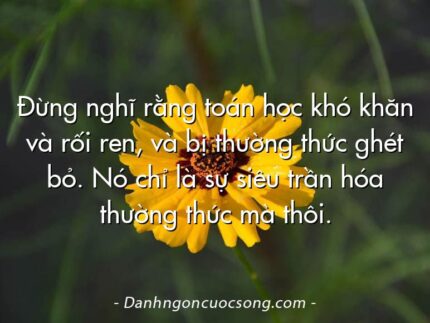Đừng nghĩ rằng toán học khó khăn và rối ren, và bị thường thức ghét bỏ. Nó chỉ là sự siêu trần hóa thường thức mà thôi.