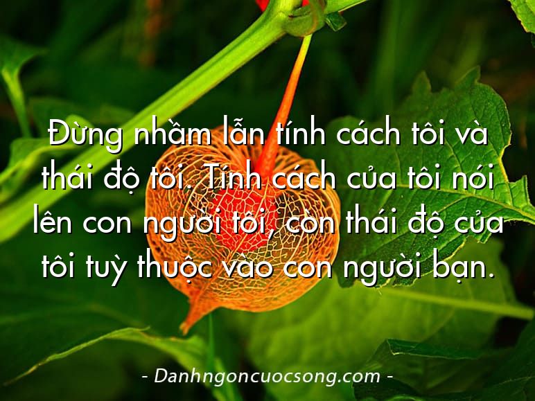 Đừng nhầm lẫn tính cách tôi và thái độ tôi. Tính cách của tôi nói lên con người tôi, còn thái độ của tôi tuỳ thuộc vào con người bạn.