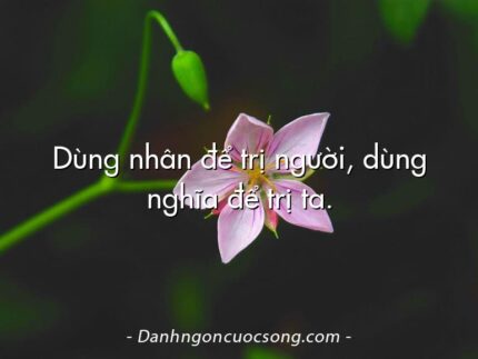 Dùng nhân để trị người, dùng nghĩa để trị ta.
