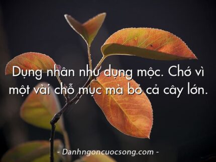 Dụng nhân như dụng mộc. Chớ vì một vài chỗ mục mà bỏ cả cây lớn.