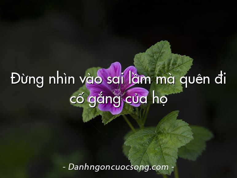 Đừng nhìn vào sai lầm mà quên đi cố gắng của họ