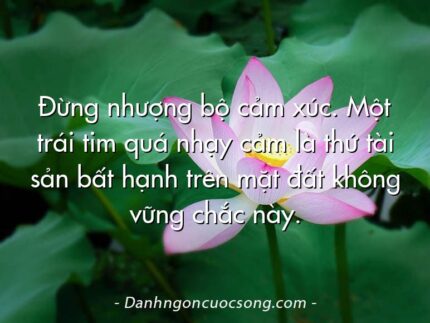 Đừng nhượng bộ cảm xúc. Một trái tim quá nhạy cảm là thứ tài sản bất hạnh trên mặt đất không vững chắc này.