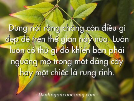 Đừng nói rằng chẳng còn điều gì đẹp đẽ trên thế gian này nữa. Luôn luôn có thứ gì đó khiến bạn phải ngưỡng mộ trong một dáng cây hay một chiếc lá rung rinh.
