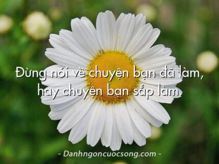 Đừng nói về chuyện bạn đã làm, hay chuyện bạn sắp làm.