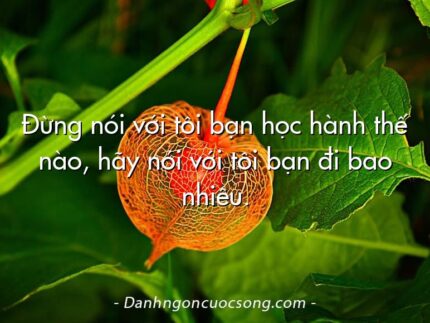 Đừng nói với tôi bạn học hành thế nào, hãy nói với tôi bạn đi bao nhiêu.