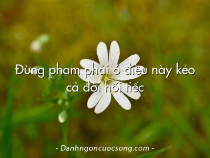 Đừng phạm phải 6 điều này kẻo cả đời hối tiếc