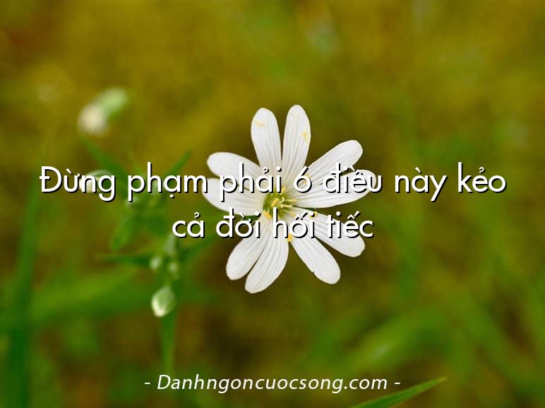 Đừng phạm phải 6 điều này kẻo cả đời hối tiếc