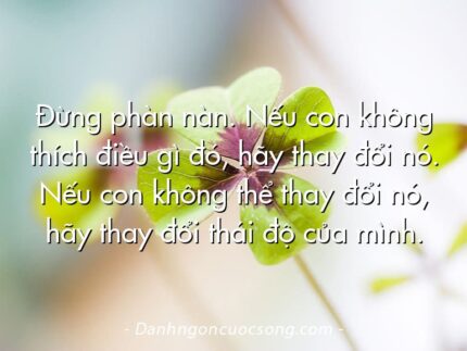 Đừng phàn nàn. Nếu con không thích điều gì đó, hãy thay đổi nó. Nếu con không thể thay đổi nó, hãy thay đổi thái độ của mình.