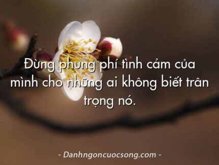Đừng phung phí tình cảm của mình cho những ai không biết trân trọng nó.