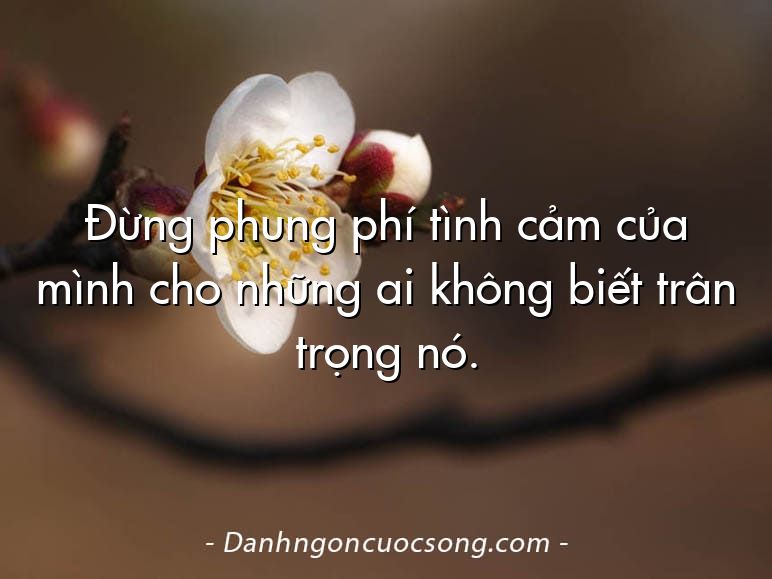 Đừng phung phí tình cảm của mình cho những ai không biết trân trọng nó.