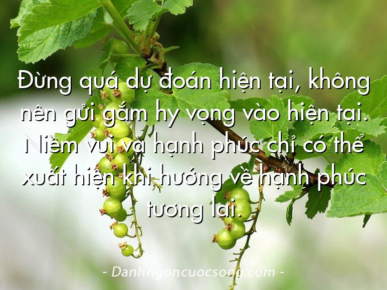 Đừng quá dự đoán hiện tại, không nên gửi gắm hy vọng vào hiện tại. Niềm vui và hạnh phúc chỉ có thể xuất hiện khi hướng về hạnh phúc tương lai.