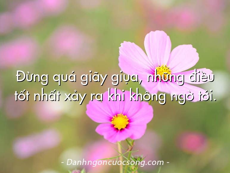 Đừng quá giãy giụa, những điều tốt nhất xảy ra khi không ngờ tới.