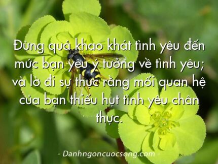 Đừng quá khao khát tình yêu đến mức bạn yêu ý tưởng về tình yêu; và lờ đi sự thực rằng mối quan hệ của bạn thiếu hụt tình yêu chân thực.