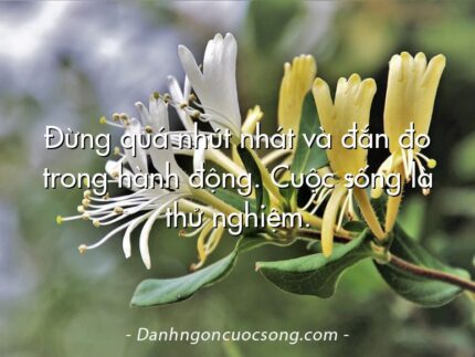 Đừng quá nhút nhát và đắn đo trong hành động. Cuộc sống là thử nghiệm.
