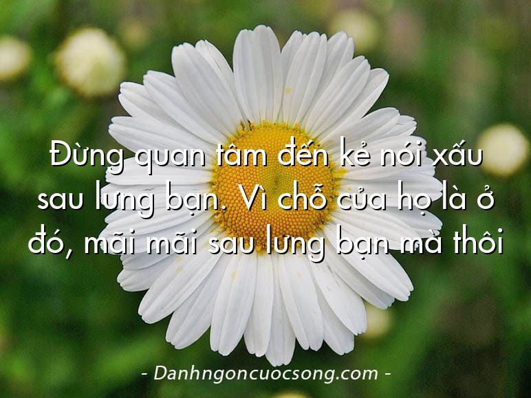 Đừng quan tâm đến kẻ nói xấu sau lưng bạn. Vì chỗ của họ là ở đó, mãi mãi sau lưng bạn mà thôi