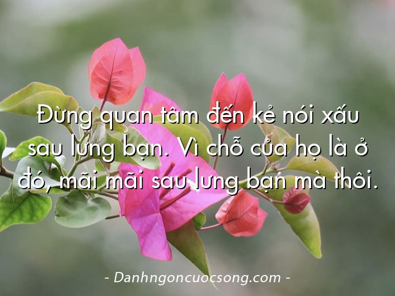 Đừng quan tâm đến kẻ nói xấu sau lưng bạn. Vì chỗ của họ là ở đó, mãi mãi sau lưng bạn mà thôi.