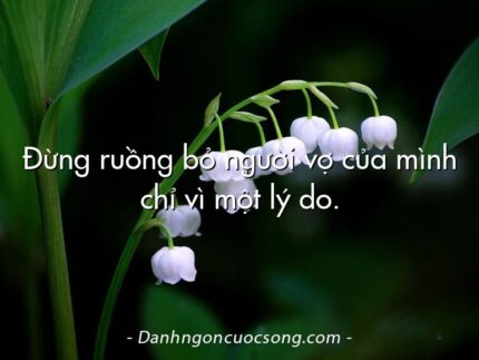 Đừng ruồng bỏ người vợ của mình chỉ vì một lý do.