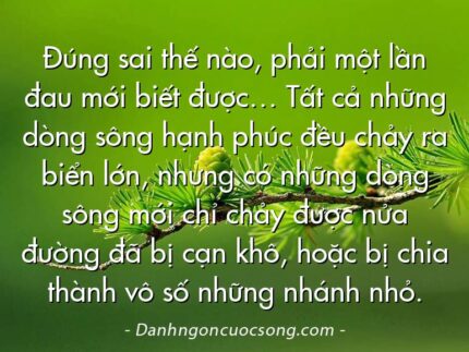 Đúng sai thế nào, phải một lần đau mới biết được… Tất cả những dòng sông hạnh phúc đều chảy ra biển lớn, nhưng có những dòng sông mới chỉ chảy được nửa đường đã bị cạn khô, hoặc bị chia thành vô số những nhánh nhỏ.