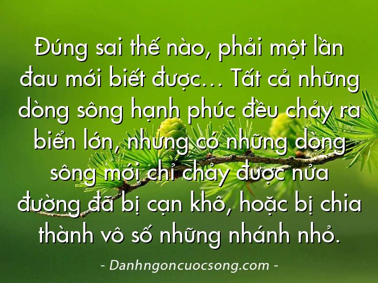 Đúng sai thế nào, phải một lần đau mới biết được… Tất cả những dòng sông hạnh phúc đều chảy ra biển lớn, nhưng có những dòng sông mới chỉ chảy được nửa đường đã bị cạn khô, hoặc bị chia thành vô số những nhánh nhỏ.
