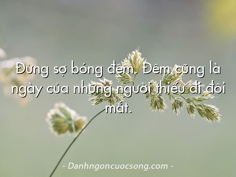 Đừng sợ bóng đêm. Đêm cũng là ngày của những người thiếu đi đôi mắt.