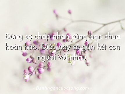 Đừng sợ chấp nhận rằng bạn chưa hoàn hảo. Điều này sẽ gắn kết con người với nhau.