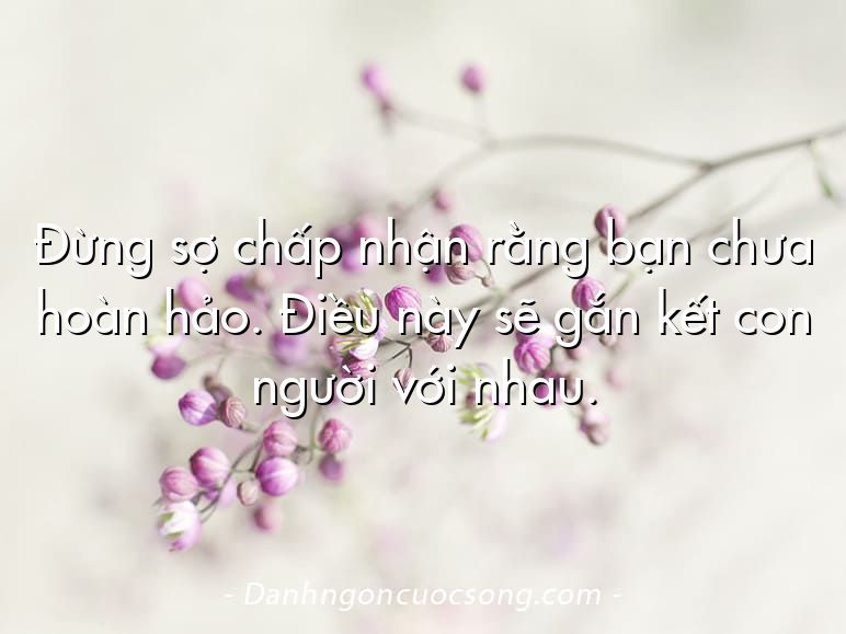 Đừng sợ chấp nhận rằng bạn chưa hoàn hảo. Điều này sẽ gắn kết con người với nhau.