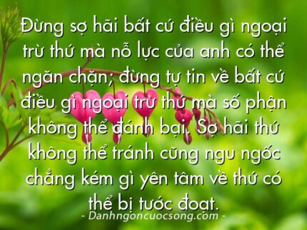 Đừng sợ hãi bất cứ điều gì ngoại trừ thứ mà nỗ lực của anh có thể ngăn chặn; đừng tự tin về bất cứ điều gì ngoại trừ thứ mà số phận không thể đánh bại. Sợ hãi thứ không thể tránh cũng ngu ngốc chẳng kém gì yên tâm về thứ có thể bị tước đoạt.