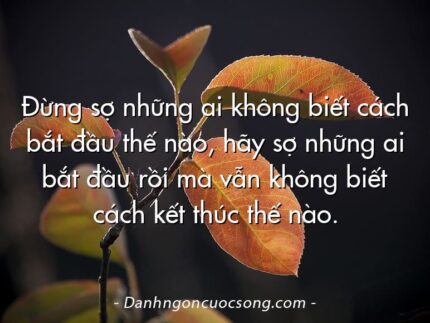 Đừng sợ những ai không biết cách bắt đầu thế nào, hãy sợ những ai bắt đầu rồi mà vẫn không biết cách kết thúc thế nào.