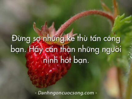 Đừng sợ những kẻ thù tấn công bạn. Hãy cẩn thận những người nịnh hót bạn.