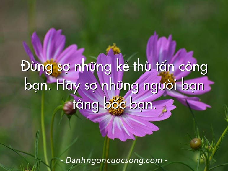 Đừng sợ những kẻ thù tấn công bạn. Hãy sợ những người bạn tâng bốc bạn.