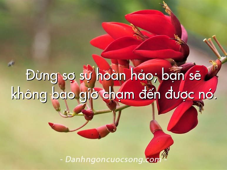 Đừng sợ sự hoàn hảo; bạn sẽ không bao giờ chạm đến được nó.