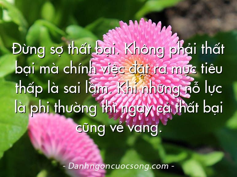Đừng sợ thất bại. Không phải thất bại mà chính việc đặt ra mục tiêu thấp là sai lầm. Khi những nỗ lực là phi thường thì ngay cả thất bại cũng vẻ vang.