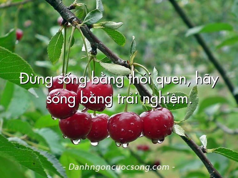 Đừng sống bằng thói quen, hãy sống bằng trải nghiệm.