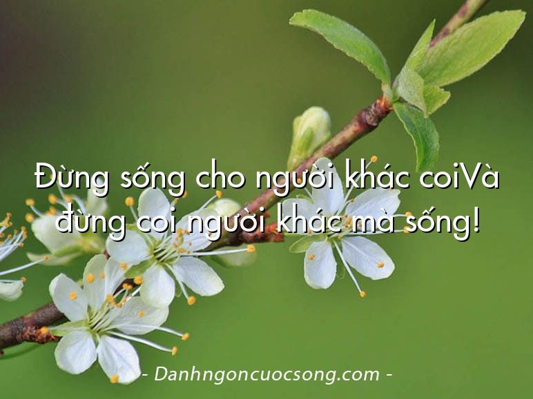 Đừng sống cho người khác coiVà đừng coi người khác mà sống!