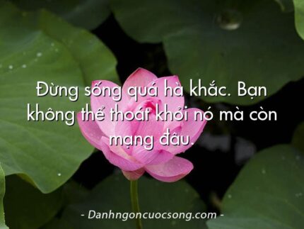 Đừng sống quá hà khắc. Bạn không thể thoát khỏi nó mà còn mạng đâu.