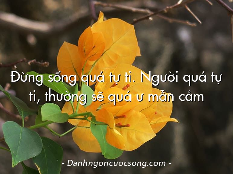 Đừng sống quá tự ti. Người quá tự ti, thường sẽ quá ư mẫn cảm
