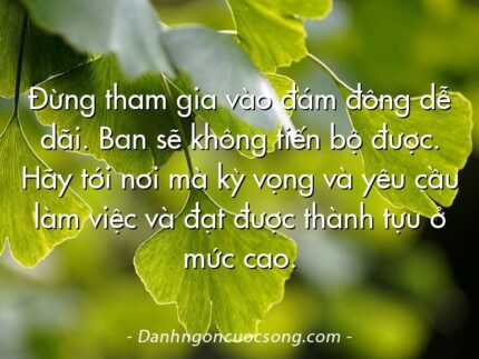 Đừng tham gia vào đám đông dễ dãi. Ban sẽ không tiến bộ được. Hãy tới nơi mà kỳ vọng và yêu cầu làm việc và đạt được thành tựu ở mức cao.