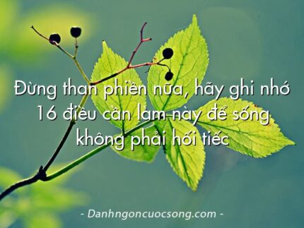 Đừng than phiền nữa, hãy ghi nhớ 16 điều cần làm này để sống không phải hối tiếc