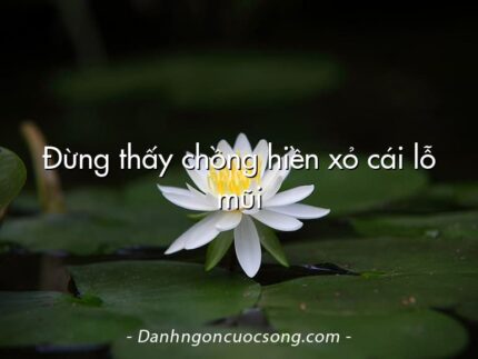 Đừng thấy chồng hiền xỏ cái lỗ mũi