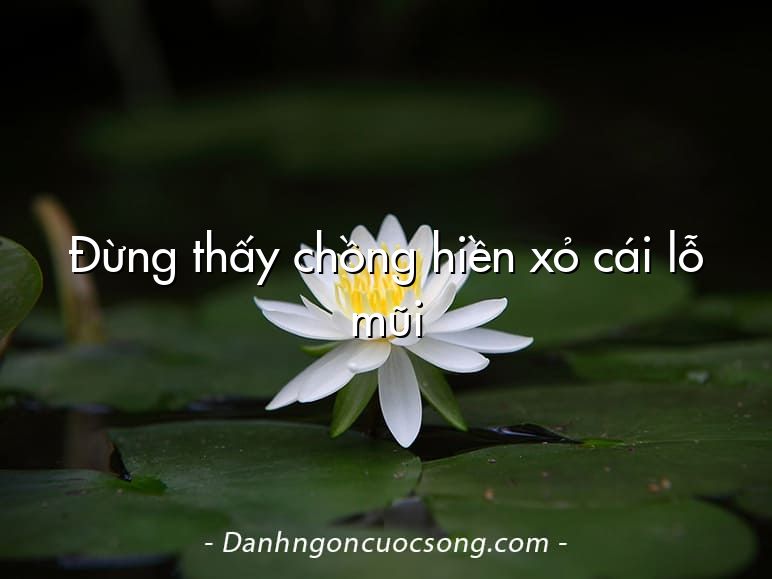 Đừng thấy chồng hiền xỏ cái lỗ mũi