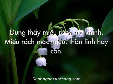 Đừng thấy miếu rách mà khinh, Miếu rách mặc miếu, thần linh hãy còn.