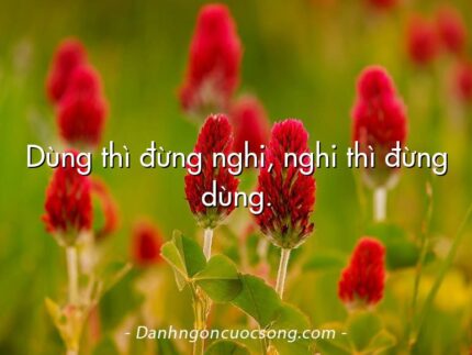 Dùng thì đừng nghi, nghi thì đừng dùng.