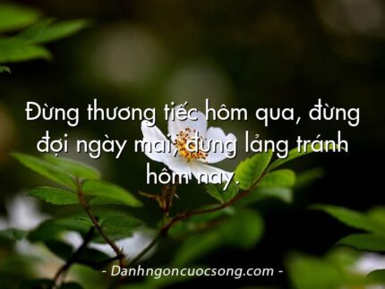 Đừng thương tiếc hôm qua, đừng đợi ngày mai, đừng lảng tránh hôm nay.