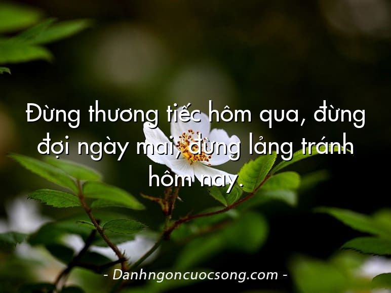 Đừng thương tiếc hôm qua, đừng đợi ngày mai, đừng lảng tránh hôm nay.