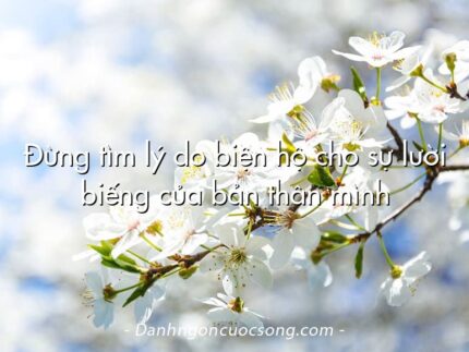 Đừng tìm lý do biện hộ cho sự lười biếng của bản thân mình