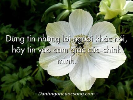 Đừng tin những lời người khác nói, hãy tin vào cảm giác của chính mình.